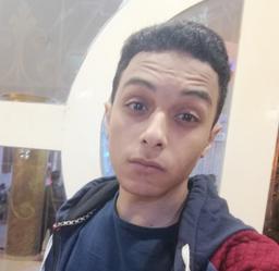 Ahmed Mohamed Awwad